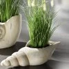 Grasbusch Aus Kunstmaterial In Muschel -Haushaltsgegenstände Geschäft grasbusch aus kunstmaterial in muschel farbe gruen creme