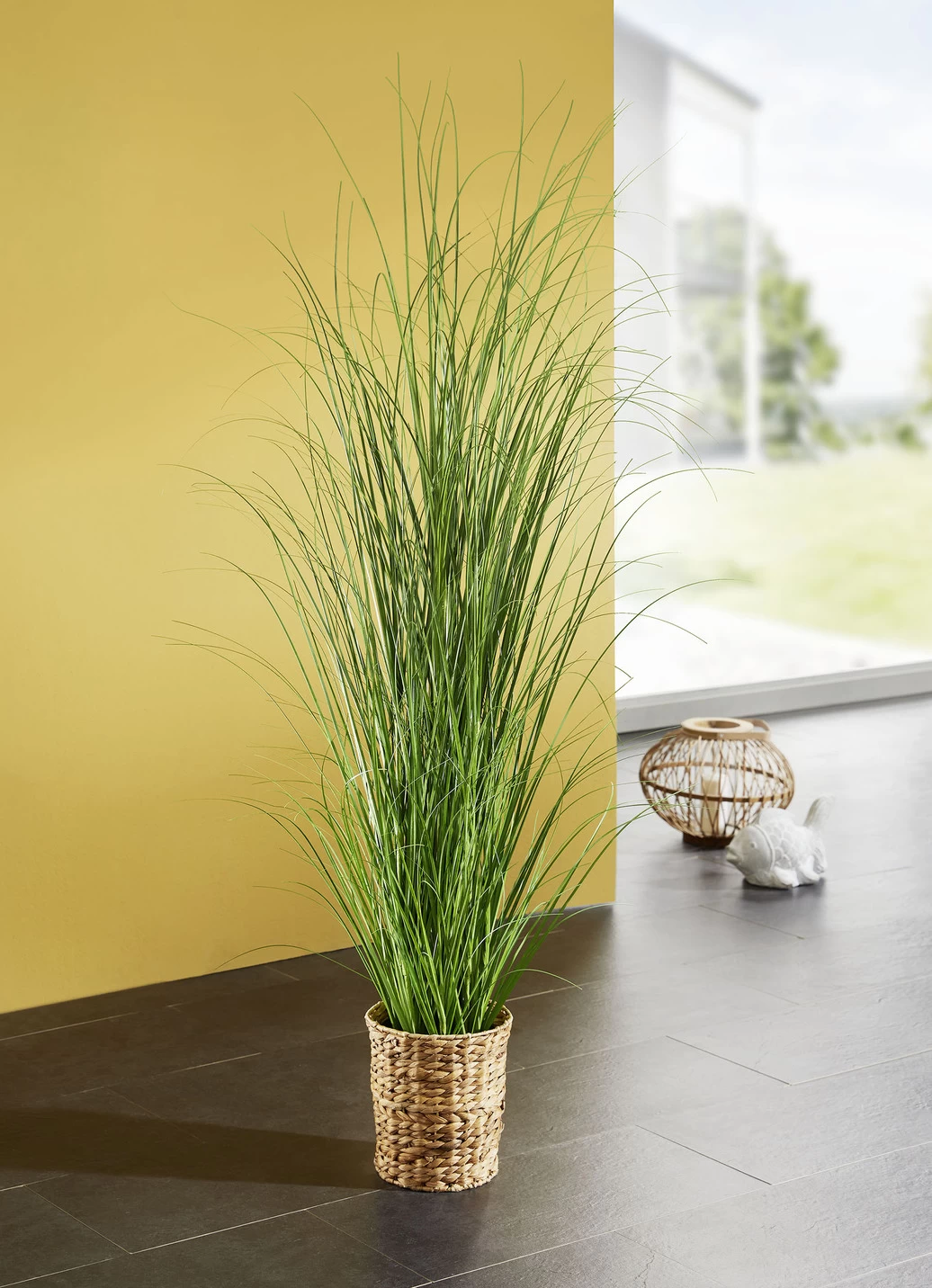 Grasbusch Im Topf 3 Grasbusch Im Topf