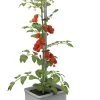 Gusta Garden Tom Tomato Mit Bewässerungssystem -Haushaltsgegenstände Geschäft gusta garden tom tomato mit bewaesserungssystem farbe grau