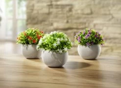 Mini-Blüten, 3er-Set