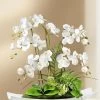 Orchideen-Gesteck In Schale -Haushaltsgegenstände Geschäft orchideen gesteck in schale farbe weiss