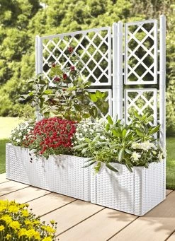 Pflanzkasten In Moderner Rattan-Optik