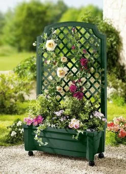 Roll-Pflanzkasten Mit Spalier -Haushaltsgegenstände Geschäft roll pflanzkasten mit spalier farbe gruen.jpg.pagespeed.ce .VGK XsbWw9