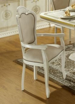 Stilvolle Stühle Mit Hochglanzlackierter Kunststoffoberfläche -Haushaltsgegenstände Geschäft stilvolle stuehle mit hochglanzlackierter kunststoffoberflaeche farbe beige gold beige 1