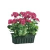 Täuschend Echt Wirkende Geranien Mit Balkonkasten -Haushaltsgegenstände Geschäft taeuschend echt wirkende geranien mit balkonkasten farbe pink