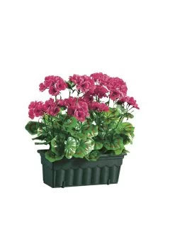 Täuschend Echt Wirkende Geranien Mit Balkonkasten