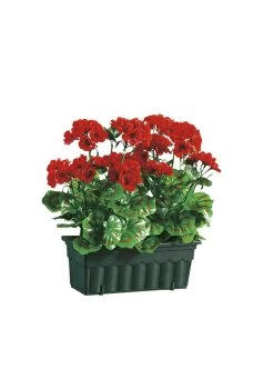 Täuschend Echt Wirkende Geranien Mit Balkonkasten -Haushaltsgegenstände Geschäft taeuschend echt wirkende geranien mit balkonkasten farbe rot 1