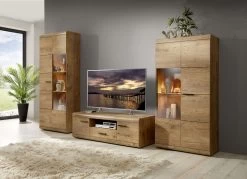 TV Wohnwand Mit LED-Beleuchtung -Haushaltsgegenstände Geschäft tv wohnwand mit led beleuchtung farbe kastanie