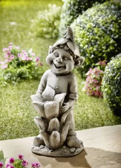 Wichtel Mit Solarblüte