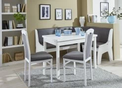 Zeitlose Esszimmermöbel -Haushaltsgegenstände Geschäft zeitlose esszimmermoebel farbe weiss grau